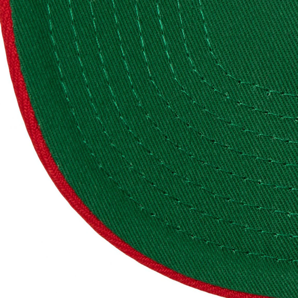 All In 2.0 Pro Snapback HWC Toronto Raptors - Image 3