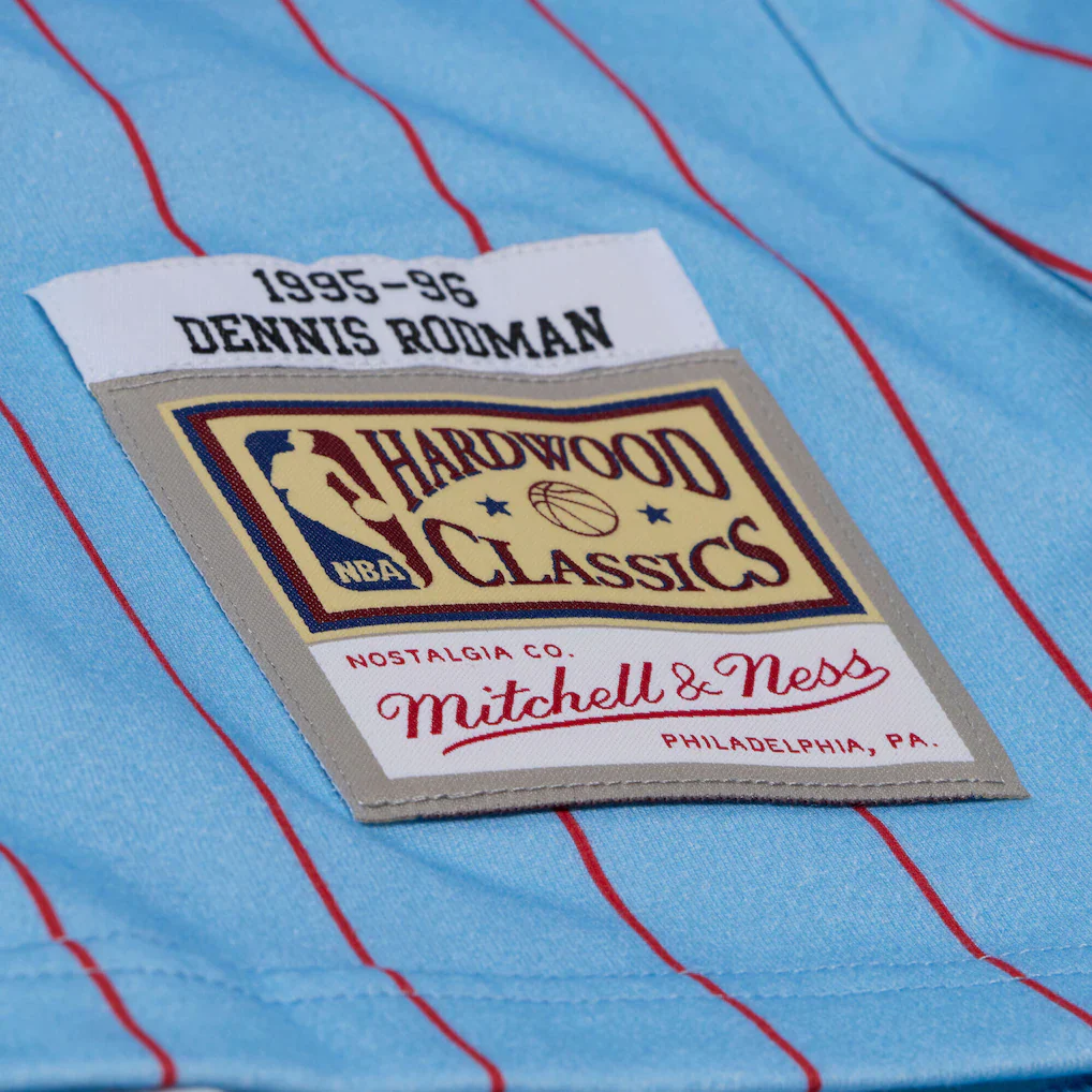 Best In Class Jersey T-Shirt Dennis Rodman Chicago Bulls 1995-96 - Image 3