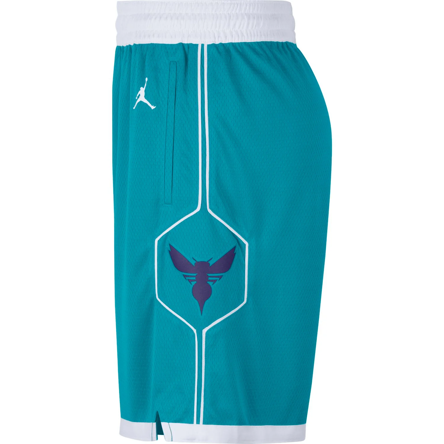 Charlotte Hornets Icon Edition Swingman - Image 3