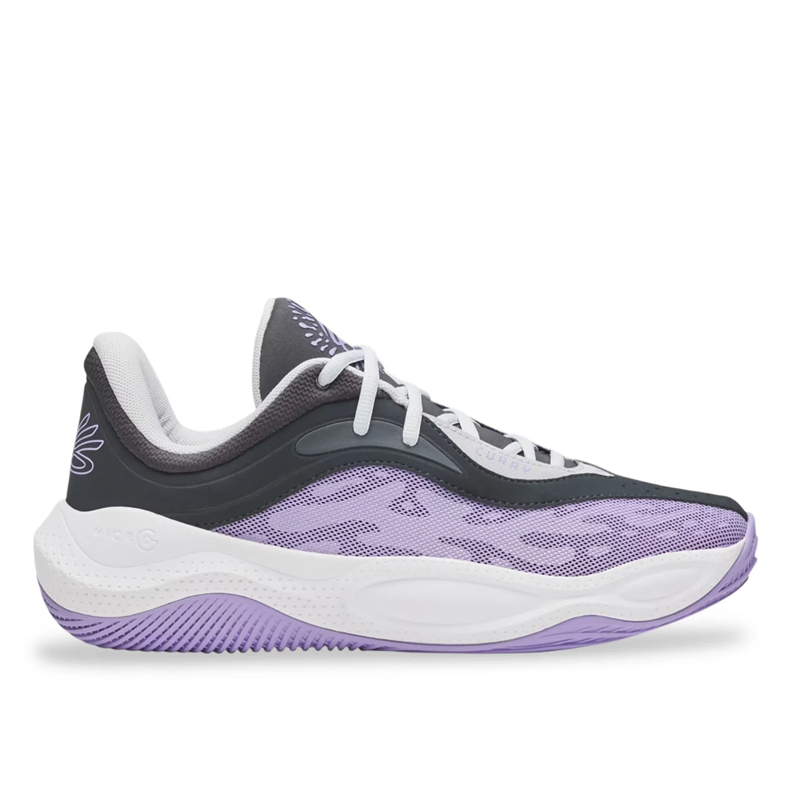 Curry Splash 25 Purple