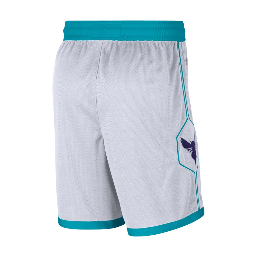 Charlotte Hornets Association Edition Swingman - Image 2