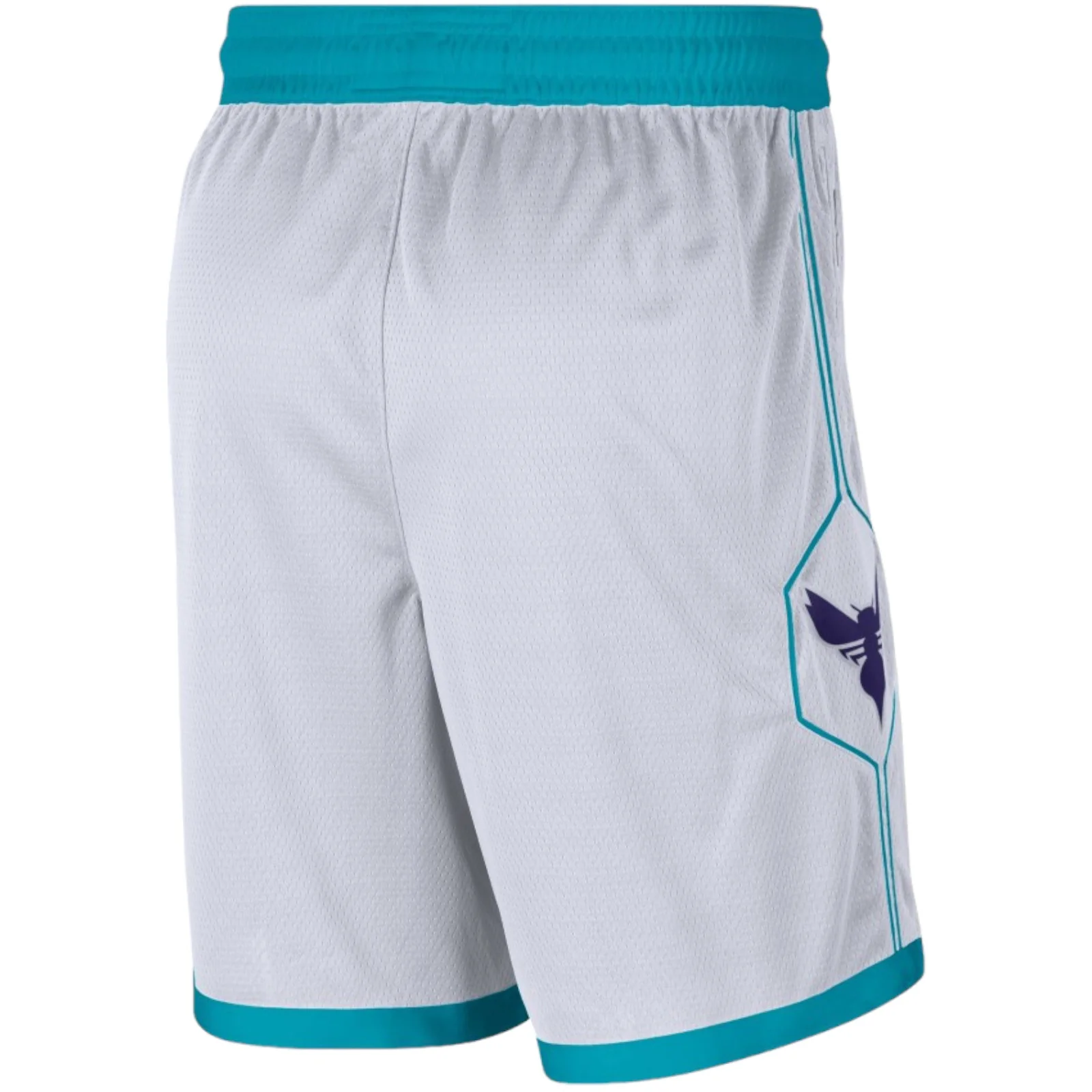 Charlotte Hornets Association Edition Swingman Junior - Image 2