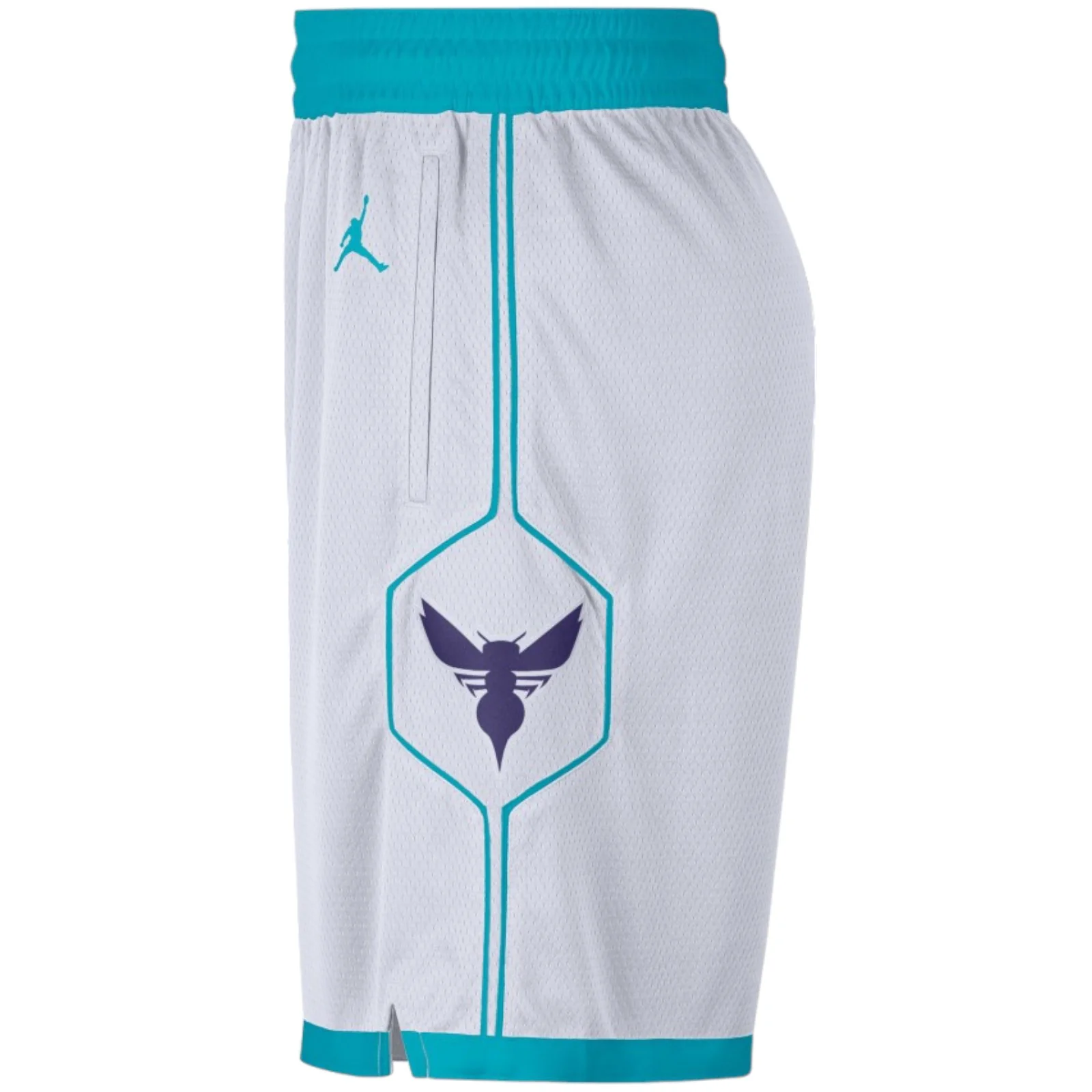 Charlotte Hornets Association Edition Swingman Junior - Image 3