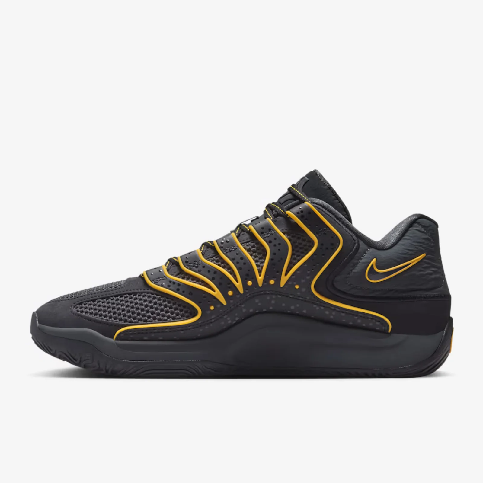 KD 18 New Dawn aka Rain City - Image 3