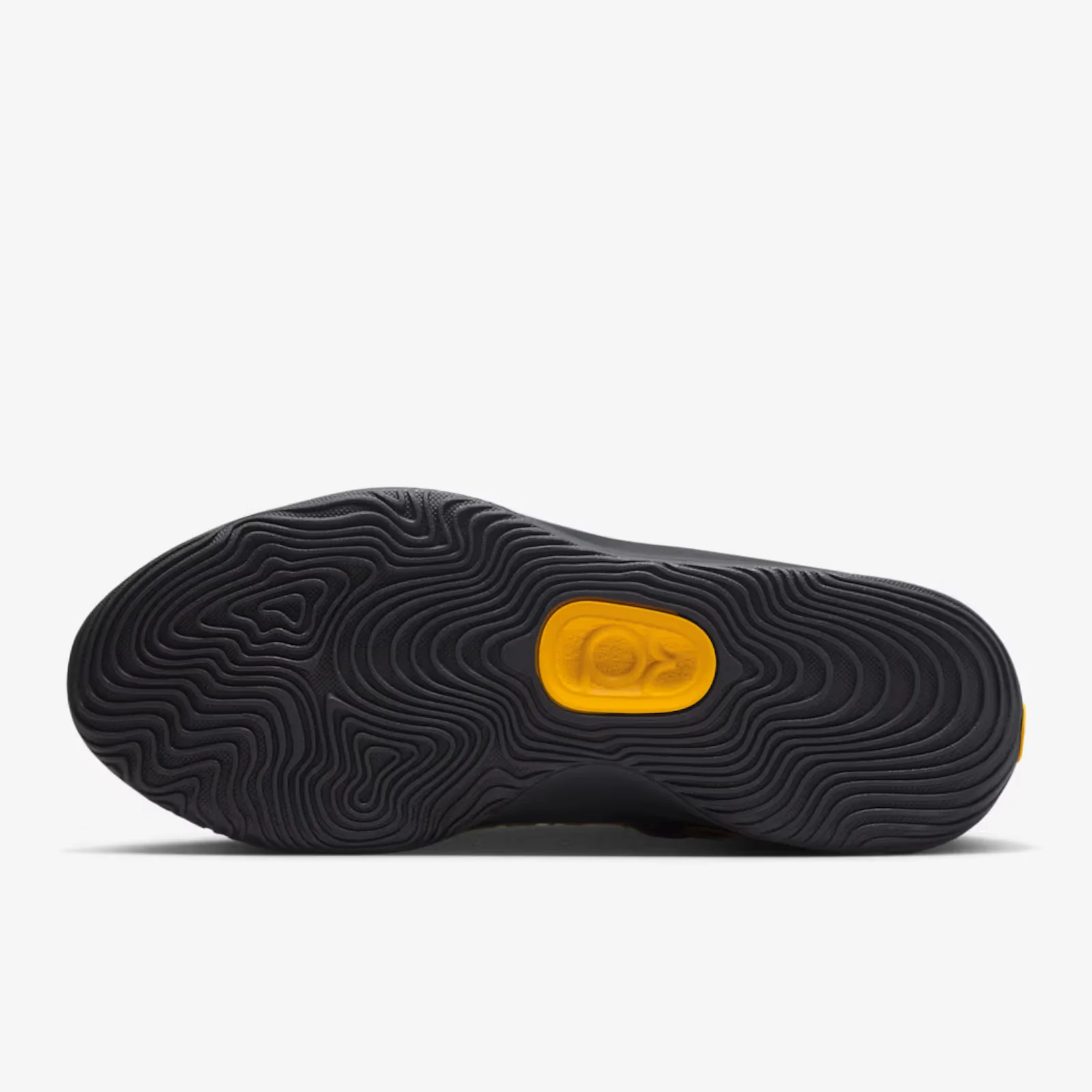 KD 18 New Dawn aka Rain City - Image 4