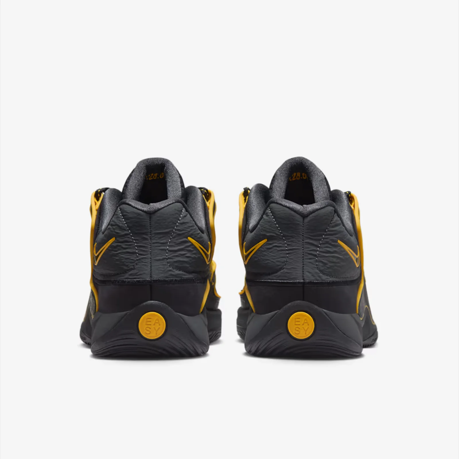 KD 18 New Dawn aka Rain City - Image 6