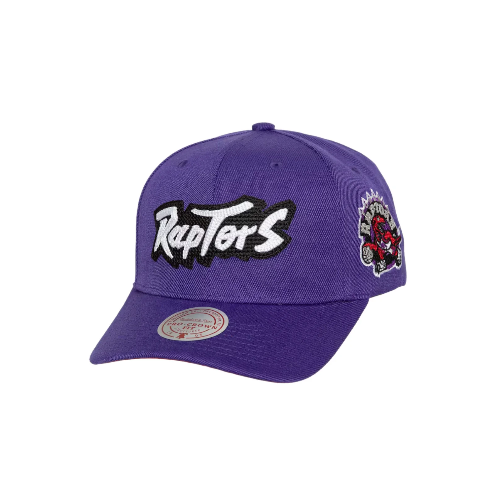 NBA Chain Gang Pro Snapback Toronto Raptors