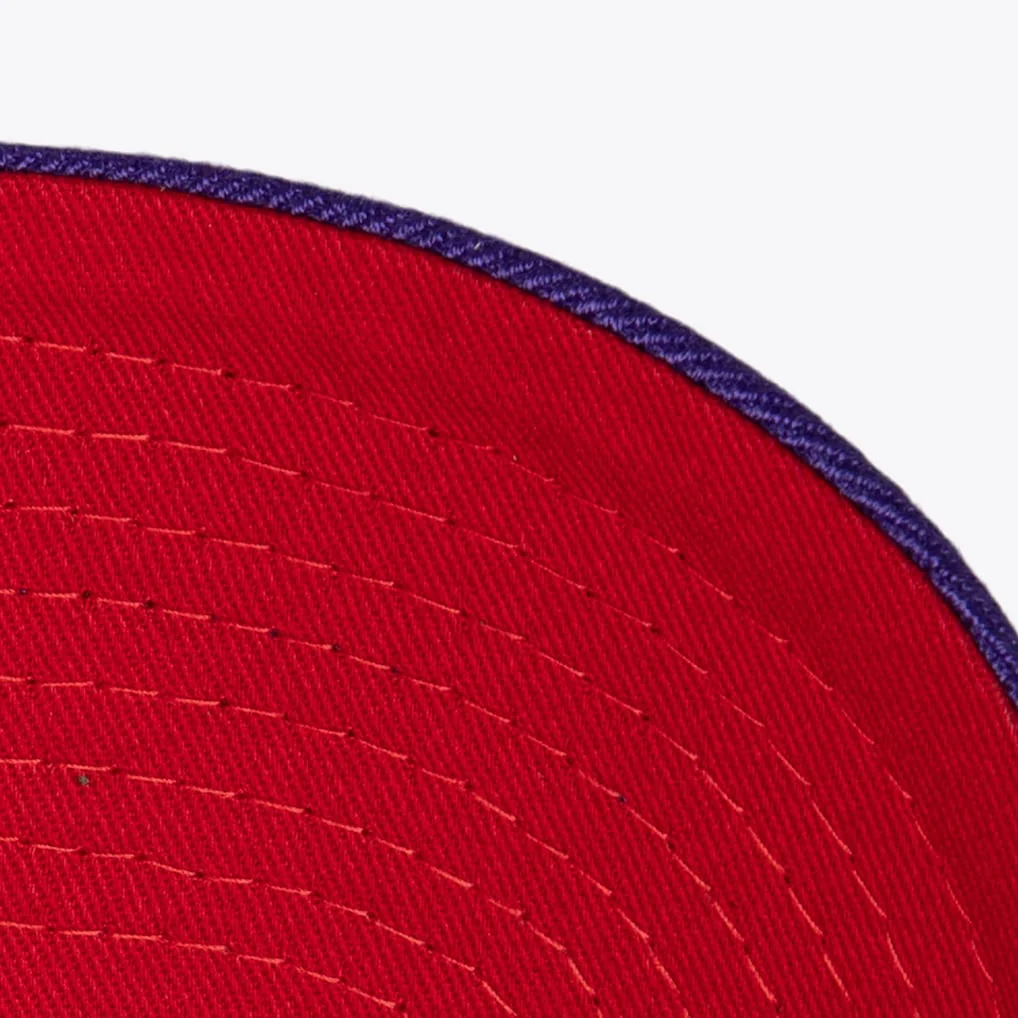 NBA Chain Gang Pro Snapback Toronto Raptors - Image 4