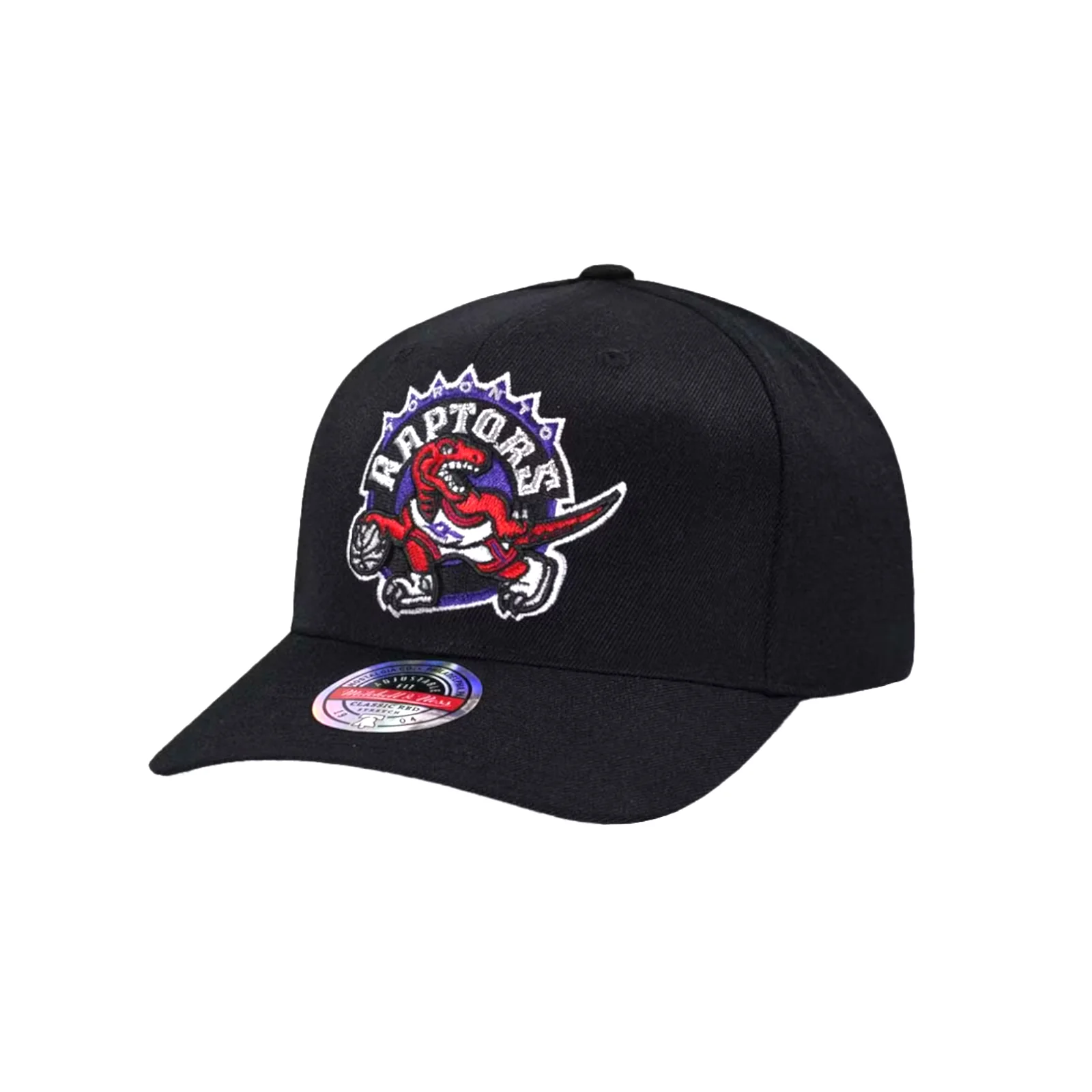 NBA Team Logo HC CR Snapback Toronto Raptors